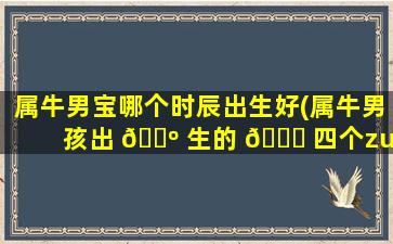 属牛男宝哪个时辰出生好(属牛男孩出 🐺 生的 💐 四个zui
佳时辰)
